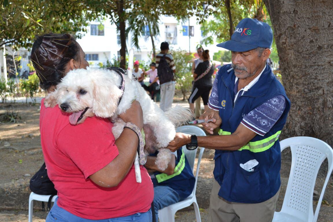 456 personas participaron en jornada de servicios del PES- Pedro Romero