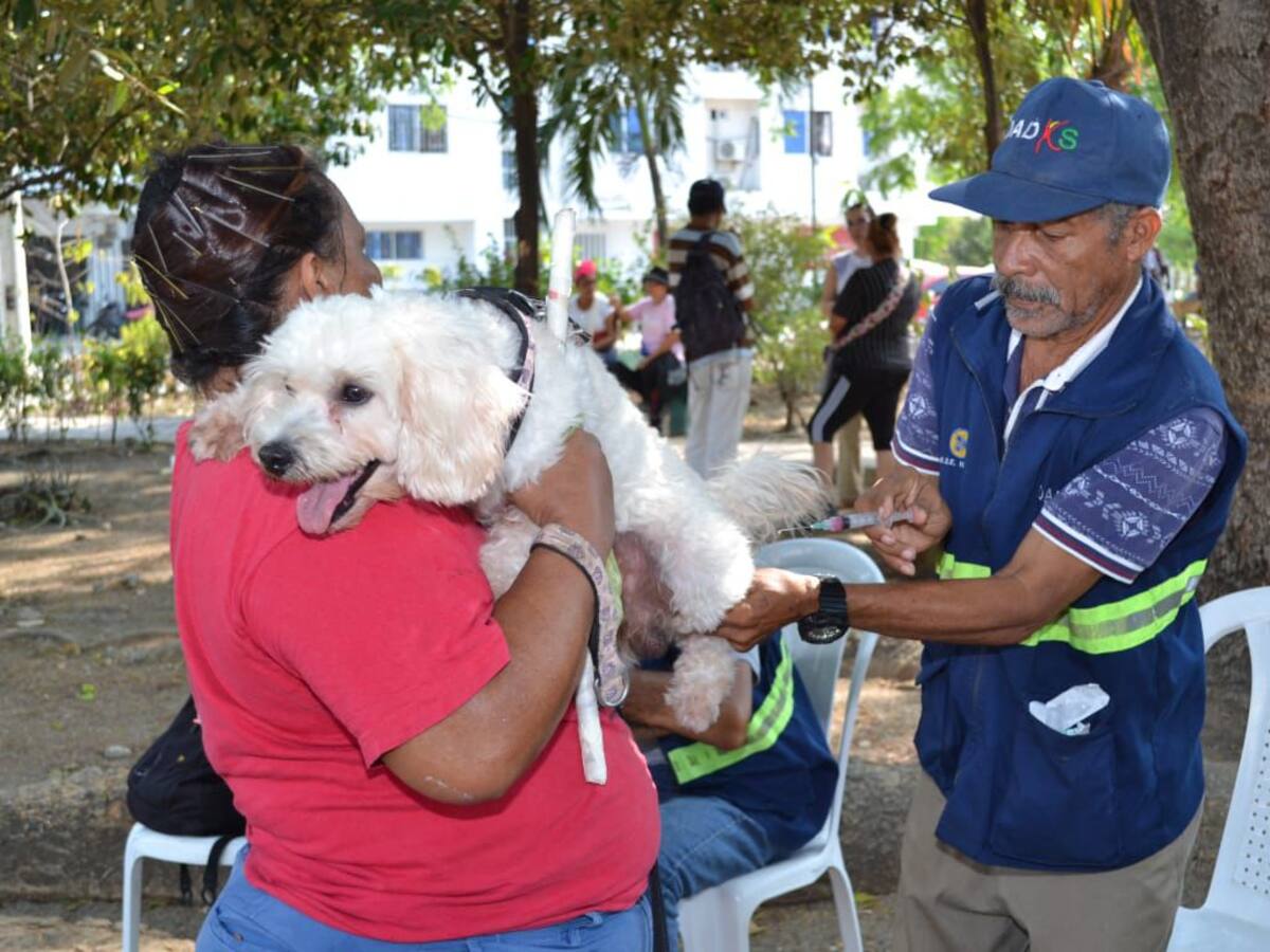456 personas participaron en jornada de servicios del PES- Pedro Romero
