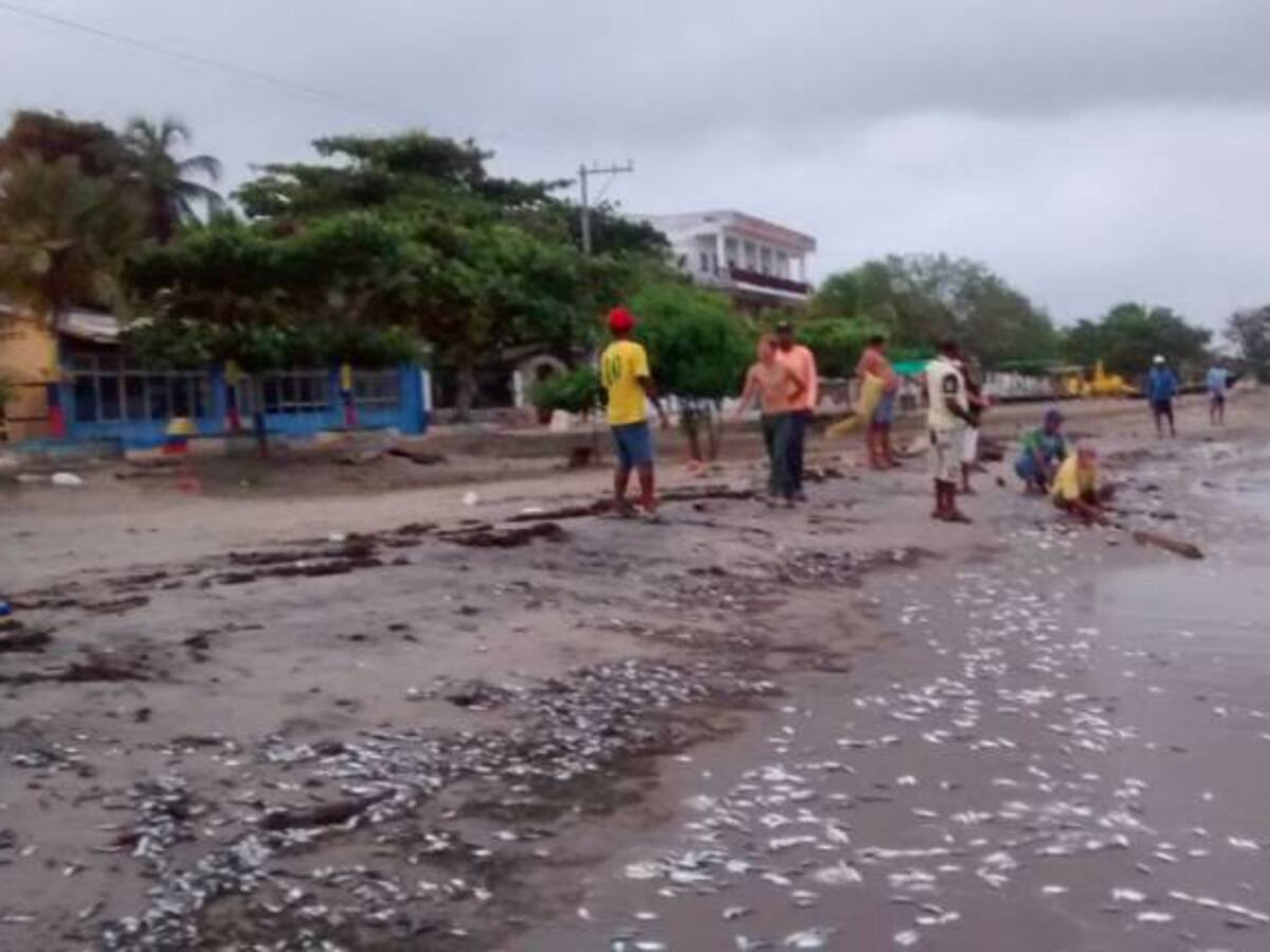 Crean movimiento de defensa del Arroyo Pichilín en el Golfo de Morrosquillo