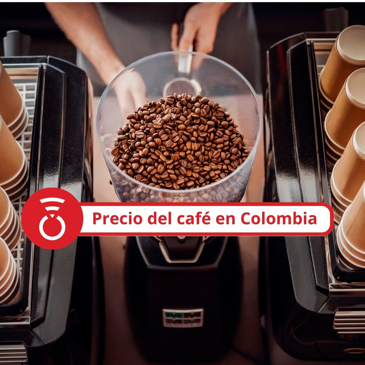 Precio del café en Colombia HOY 31 de marzo de 2026 según la FNC: Cierra el mes con leve aumento