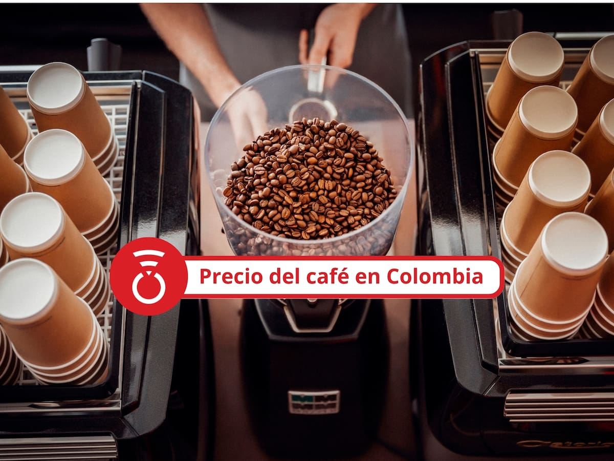 Precio del café en Colombia HOY 31 de marzo de 2026 según la FNC: Cierra el mes con leve aumento
