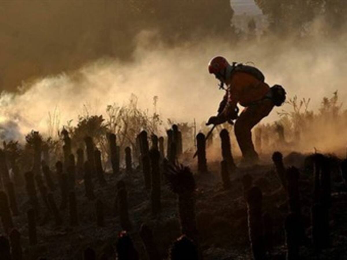 Los incendios forestales han consumido más de siete mil hectáreas en Cundinamarca