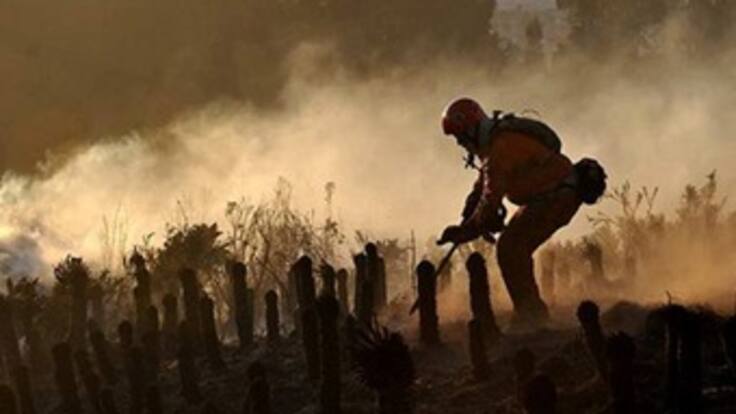 Los incendios forestales han consumido más de siete mil hectáreas en Cundinamarca