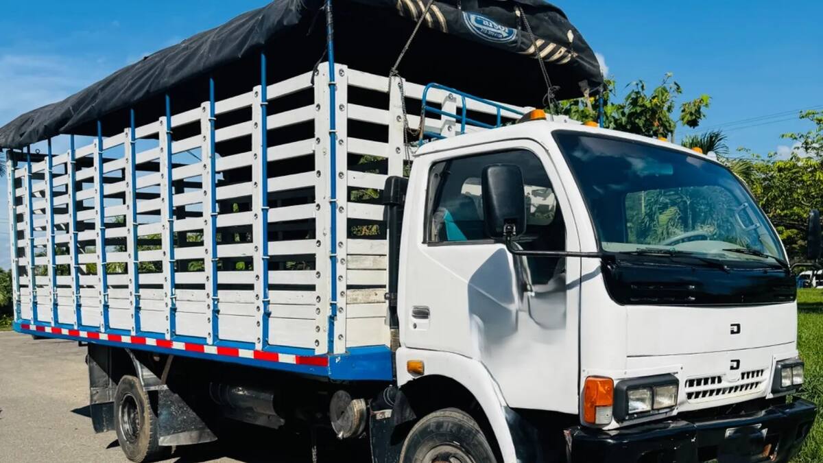 Transportadores del Huila piden tarifas diferenciadas en peajes por afectaciones económicas