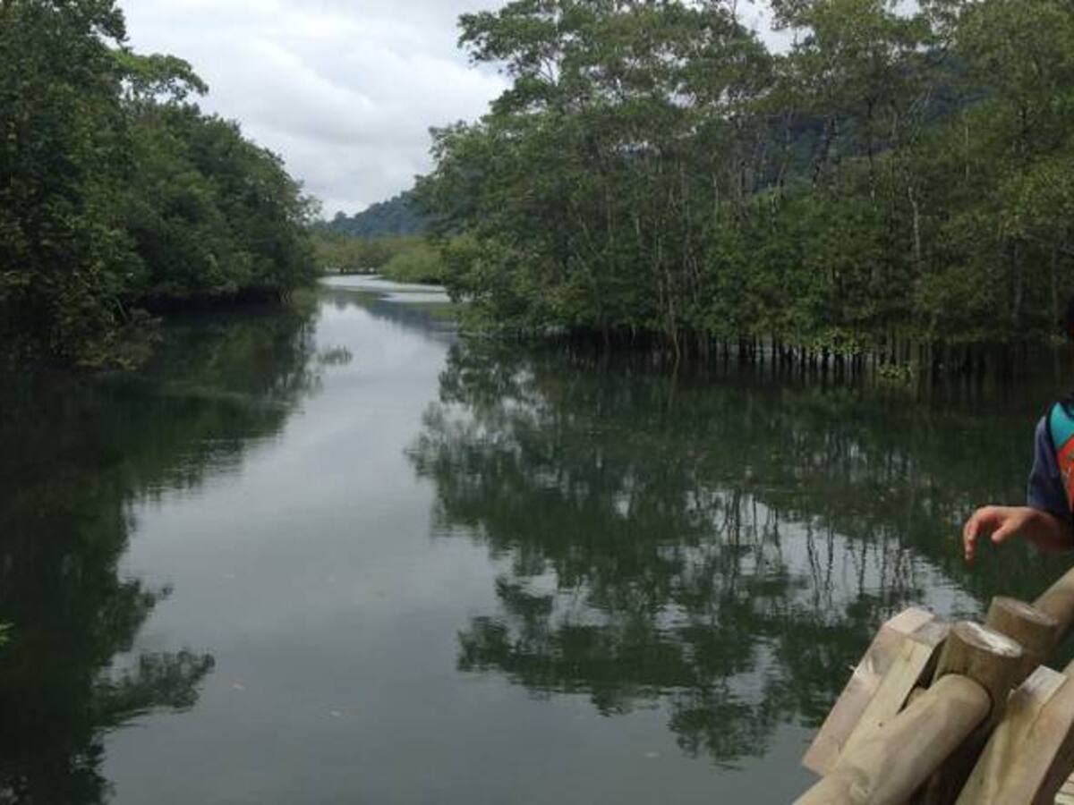 Parque Nacional Natural Utría, santuario de paz