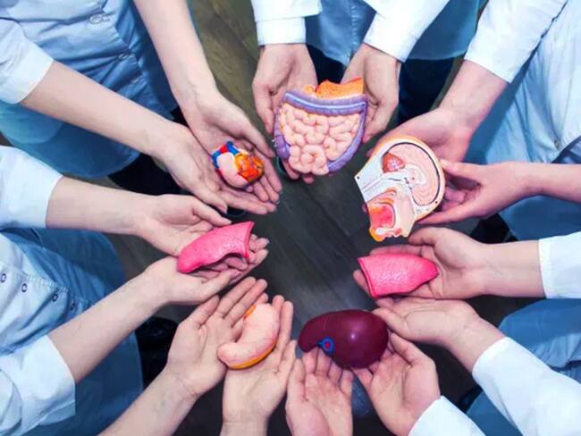 Hablar en familia y normalizar la donación de órganos y tejidos