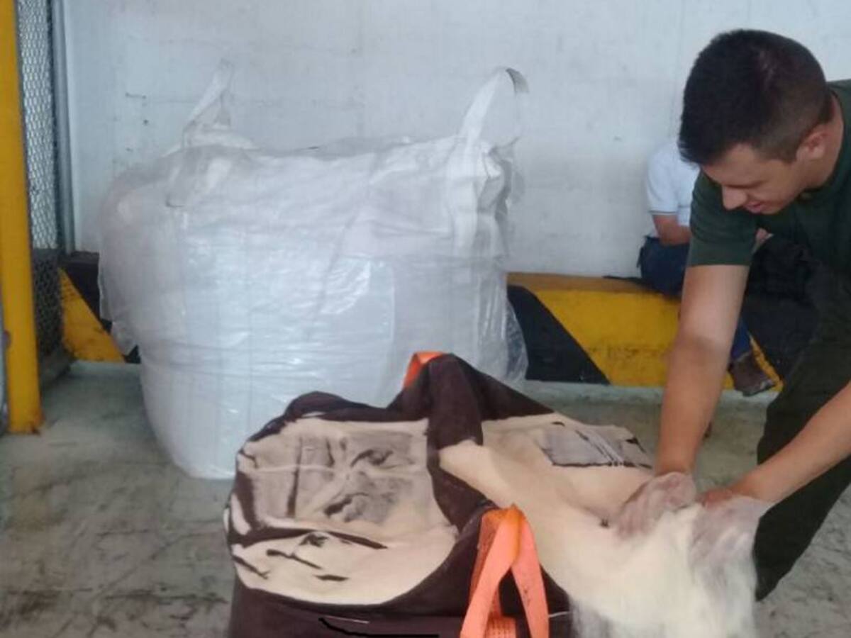 Incautan cocaína que iba con destino a Alemania