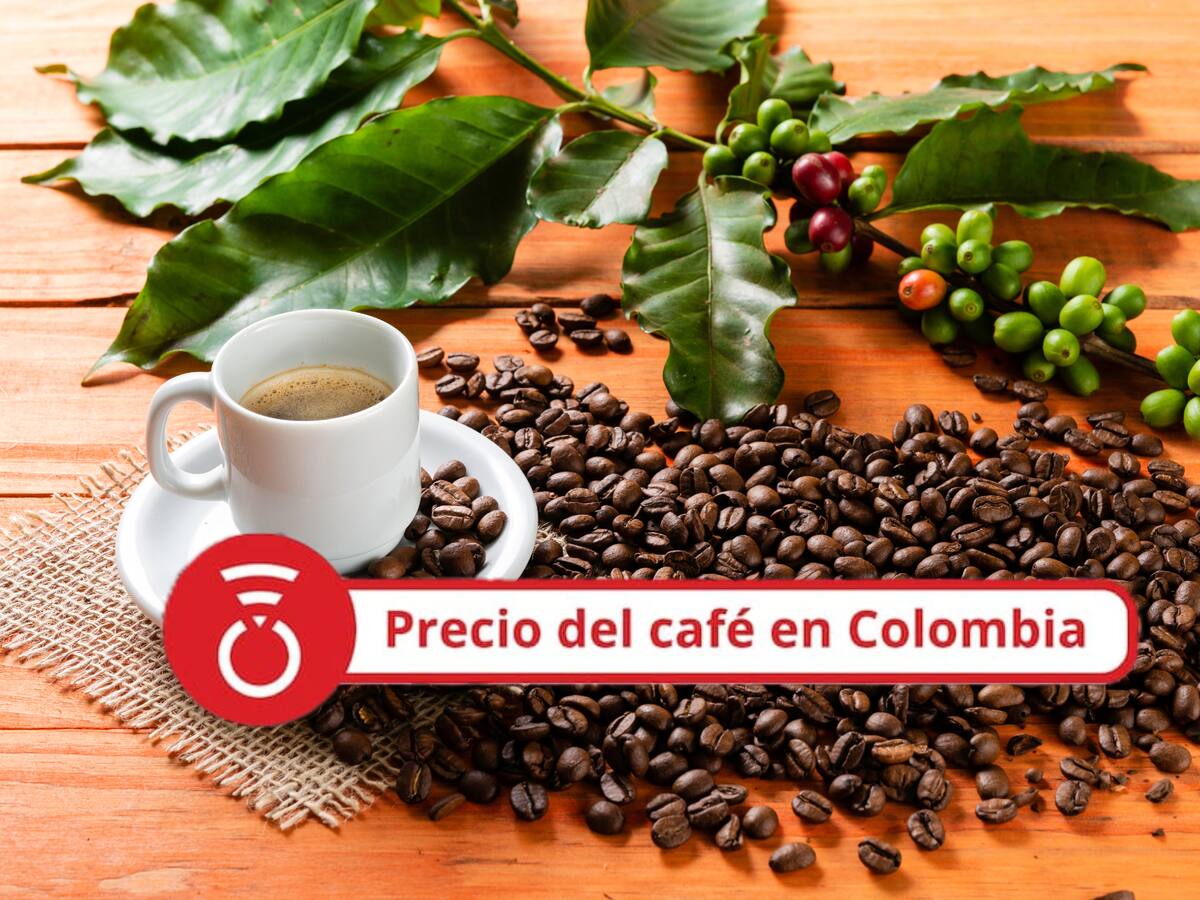 Precio del café HOY 15 de septiembre: vuelven a registrarse bajas en el precio tras recuperación