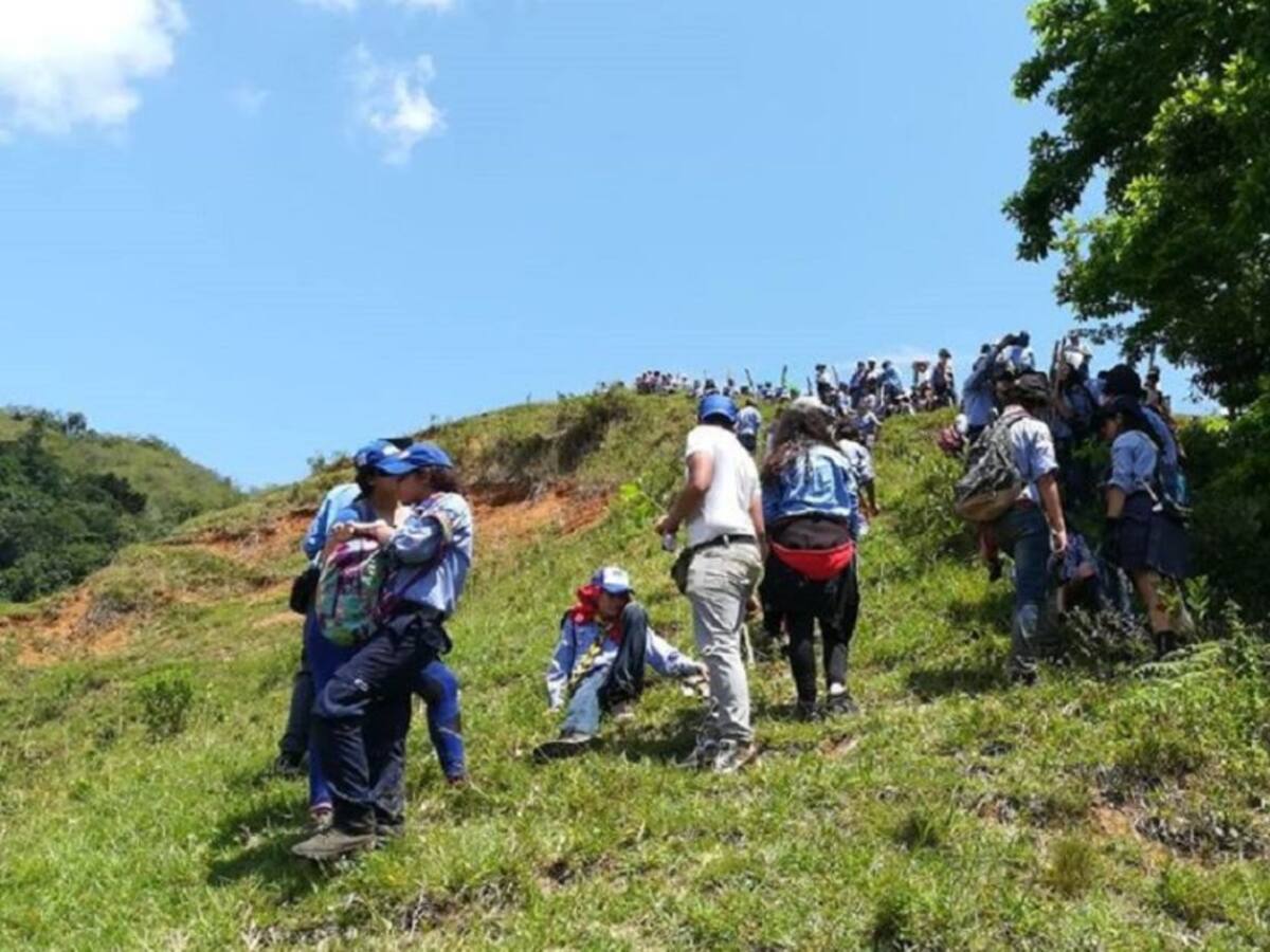 En Risaralda generan conciencia sobre la prevención de incendios forestales