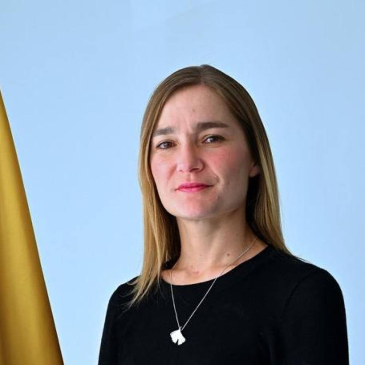 Daniela Gómez, viceministra para las Políticas de Defensa y Seguridad, renuncia al Mindefensa