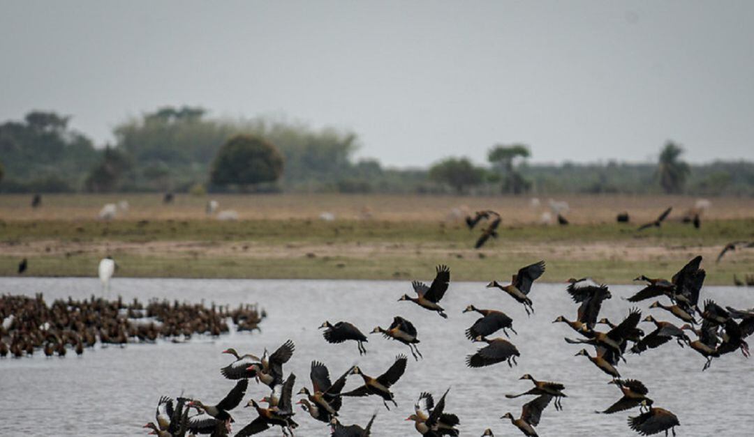 Reactivación del Comercio
