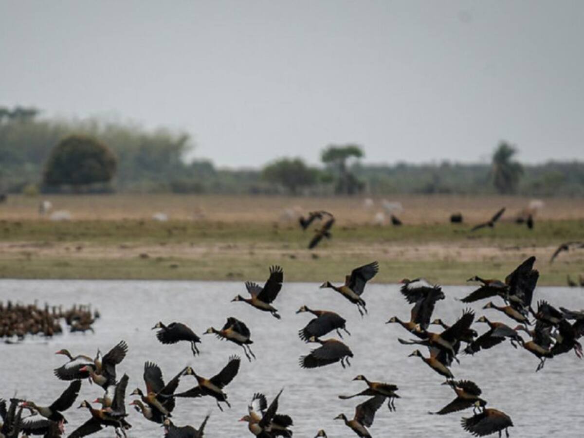 Tres propuestas incluidas en la reforma tributaria para reactivar turismo