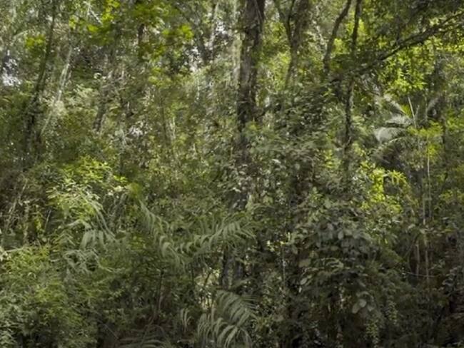 La Autoridad Nacional de Licencias Ambientales (ANLA) tiene en estudio de licenciamiento el megaproyecto de mineria Quebradona