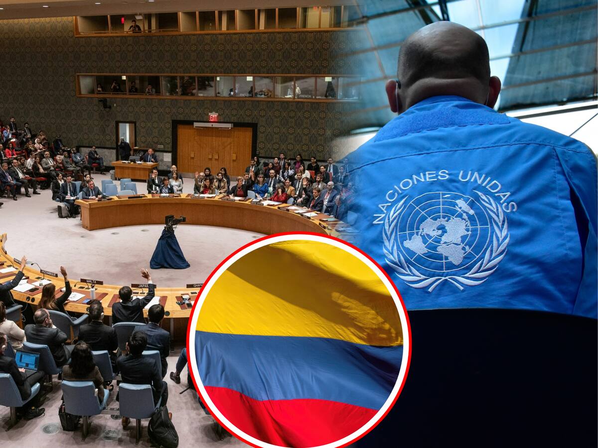 Consejo de Seguridad de la ONU renueva mandato de Misión de Verificación en Colombia