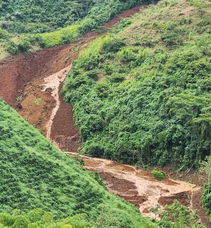 Fotografía suministrada: Alcaldía de Marsella
