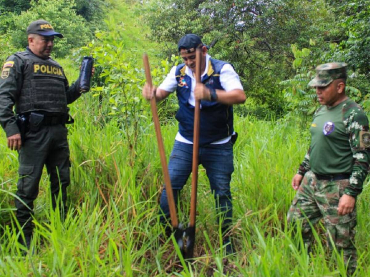 Ejército y autoridades sembraron más de 400 especies nativas en Simití