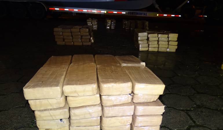 Imagen de referencia.