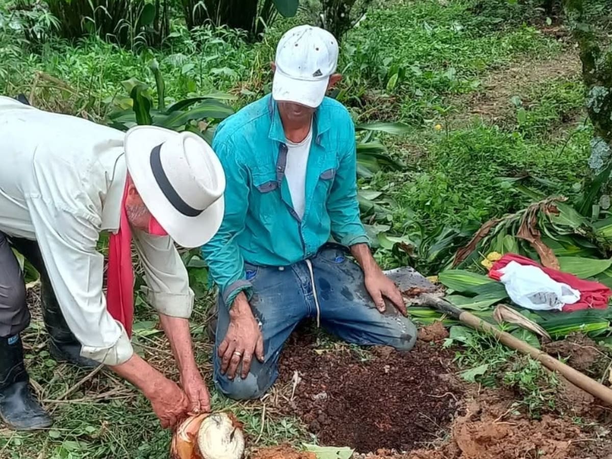 Penca de Sábila: 38 años sembrando soberanía alimentaria, agroecología y autonomía en Antioquia