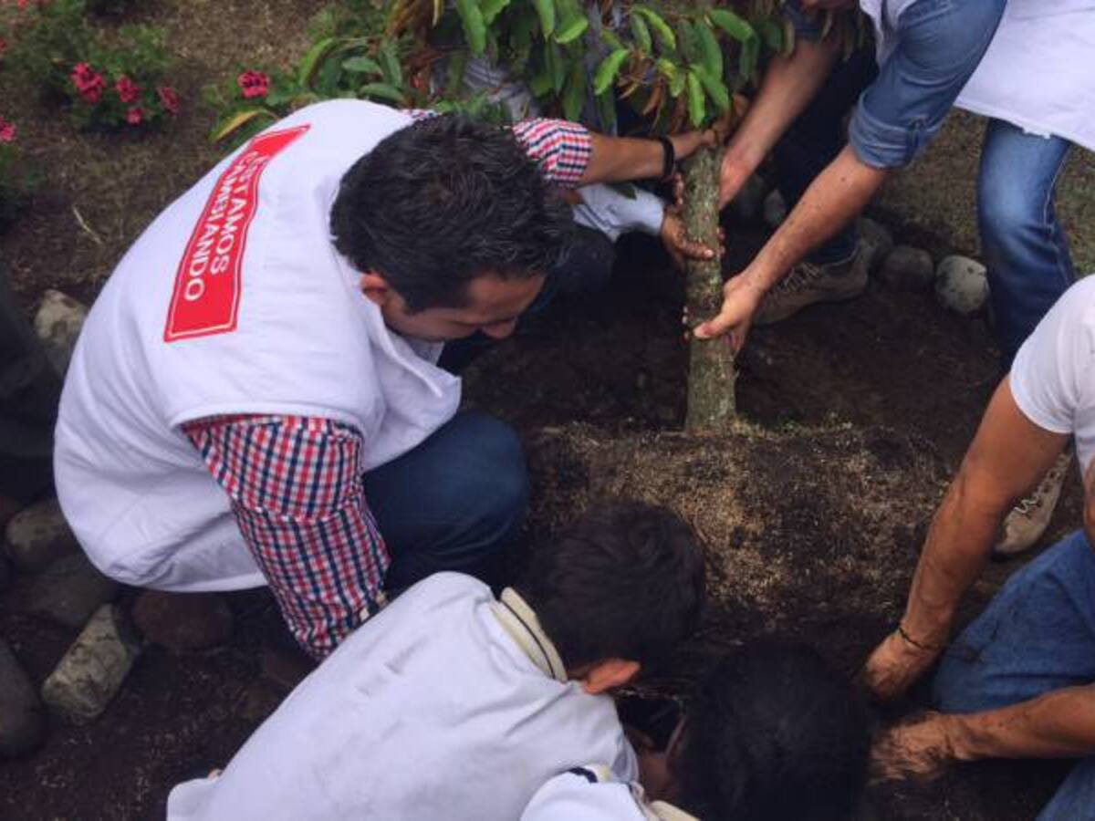 Cerca de mil árboles serán plantados durante el mes de septiembre en Pereira