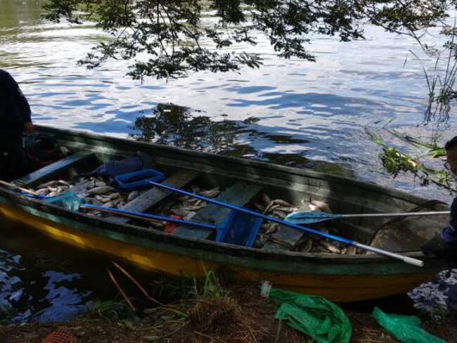 Investigan mortandad de peces en el Parque Norte de Medellín