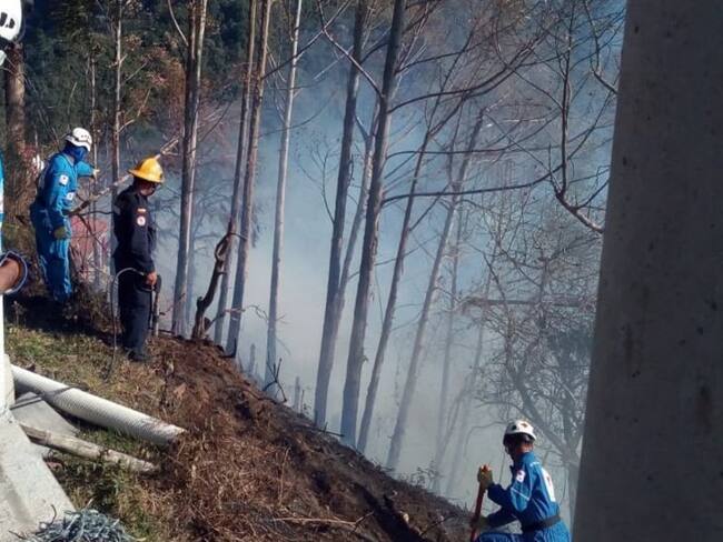 Siete hectáreas de bosques, pinos y pastos se quemaron en vía La Línea en Quindío
