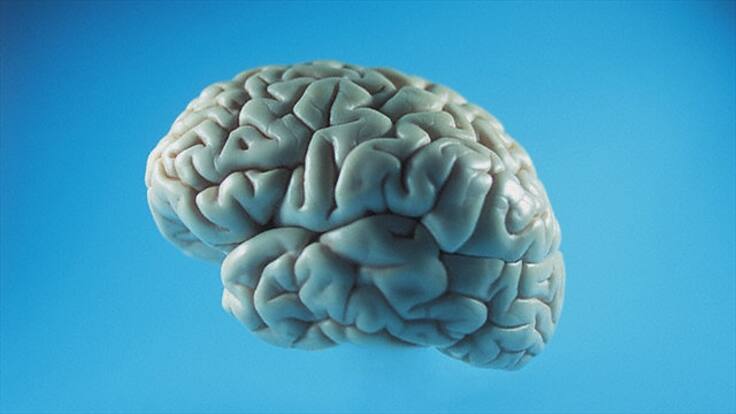 Uno se enamora con el cerebro, dice el doctor Rodolfo Llinás