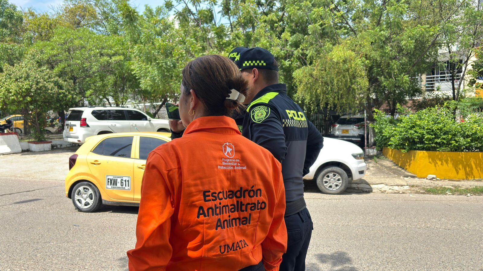 Alcaldía de Cartagena