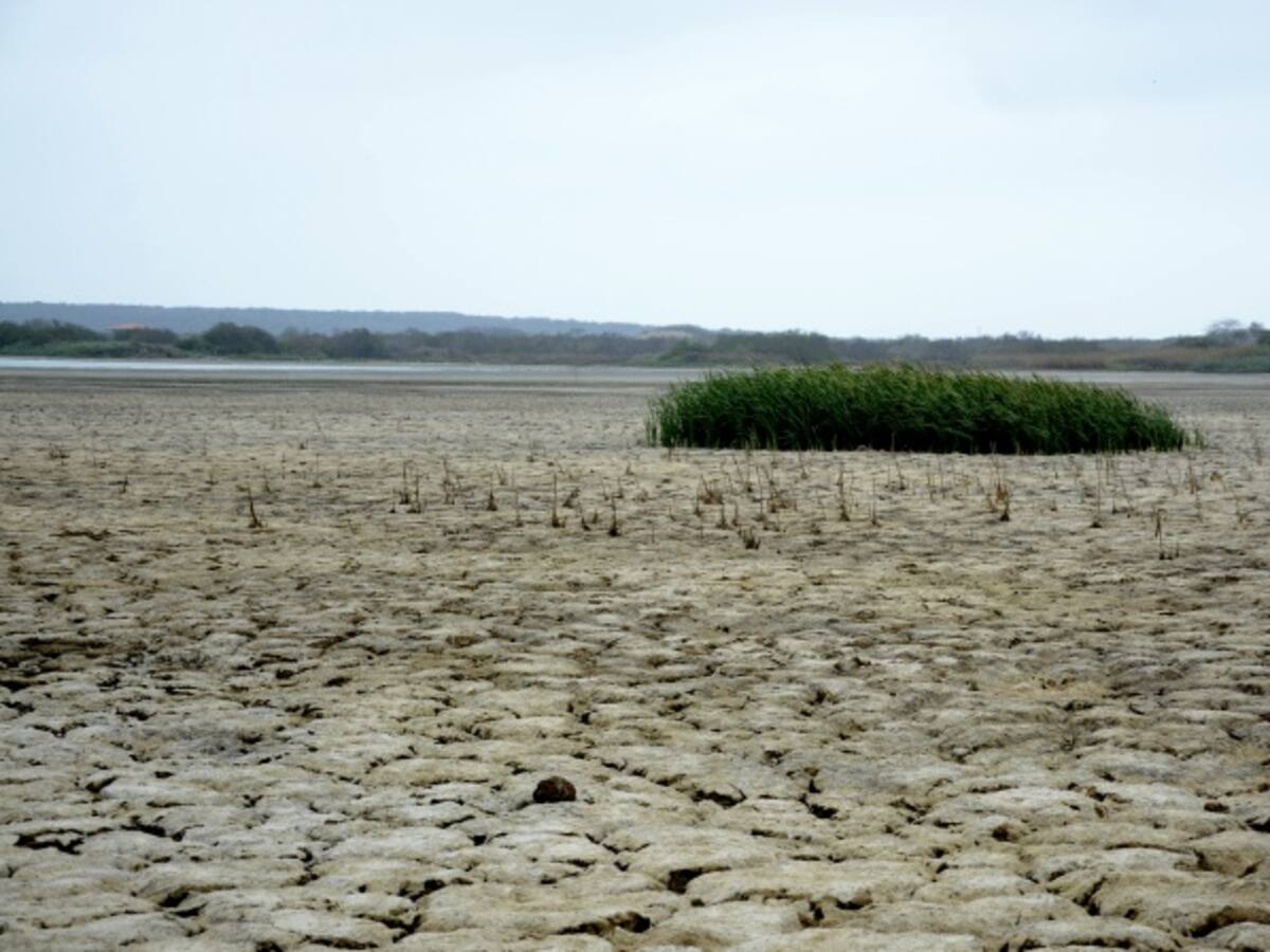 Fenómeno de El Niño tendrá un efecto muy negativo: Santos