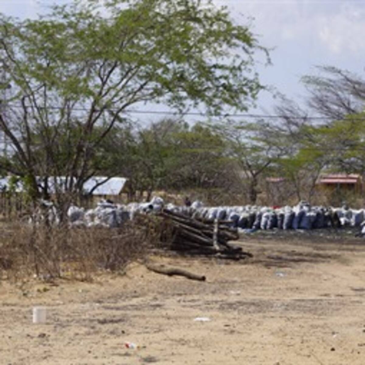 El carbón vegetal, nueva y peligrosa riqueza de La Guajira