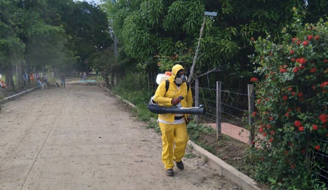 Las autoridades insisten en que la mejor forma de prevenir el dengue es desde la casa. Las medidas químicas como la fumigación son secundarias. Foto: Gobernación de Sucre.