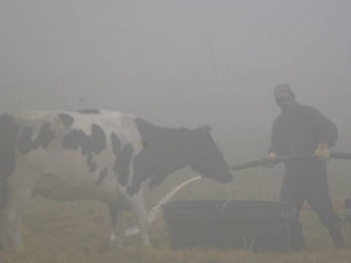 Fuertes heladas azotan a campesinos cercanos a Santurbán