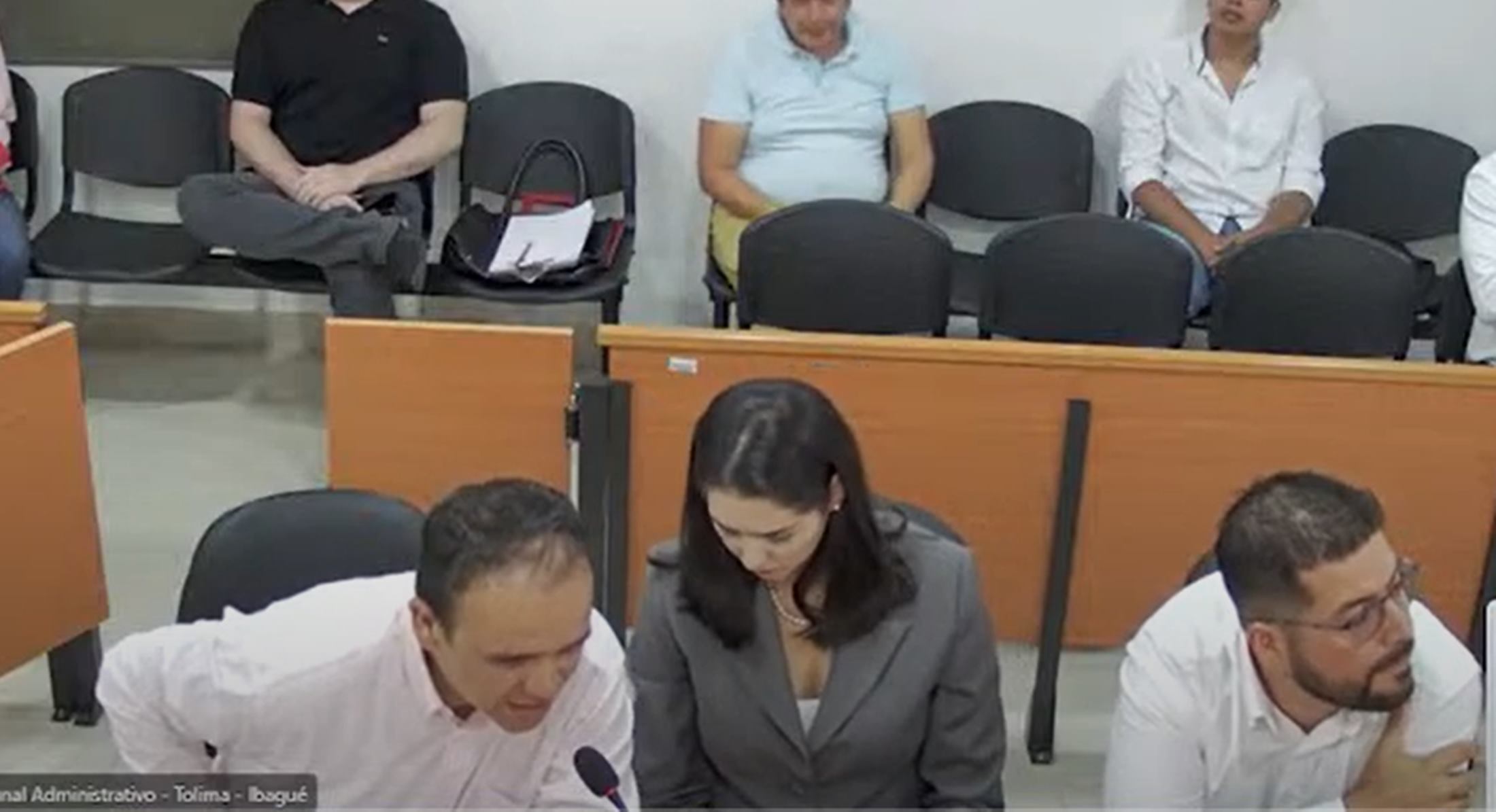 Audiencia ante el Tribunal Administrativo del Tolima