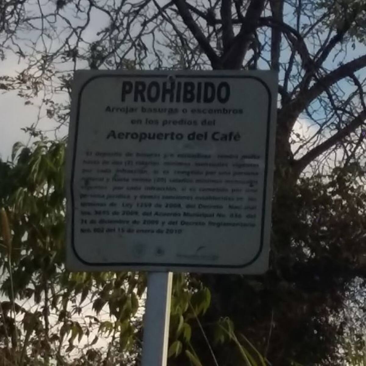 Gobernación y Alcaldía de Palestina, trabajan juntas por Aerocafé