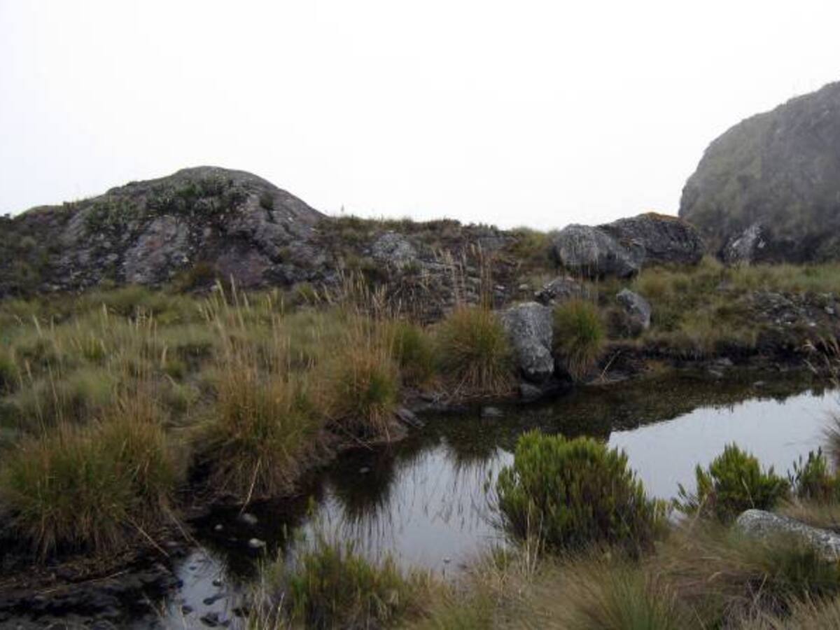 Se cumplió un año de la delimitación del Páramo de Santurbán