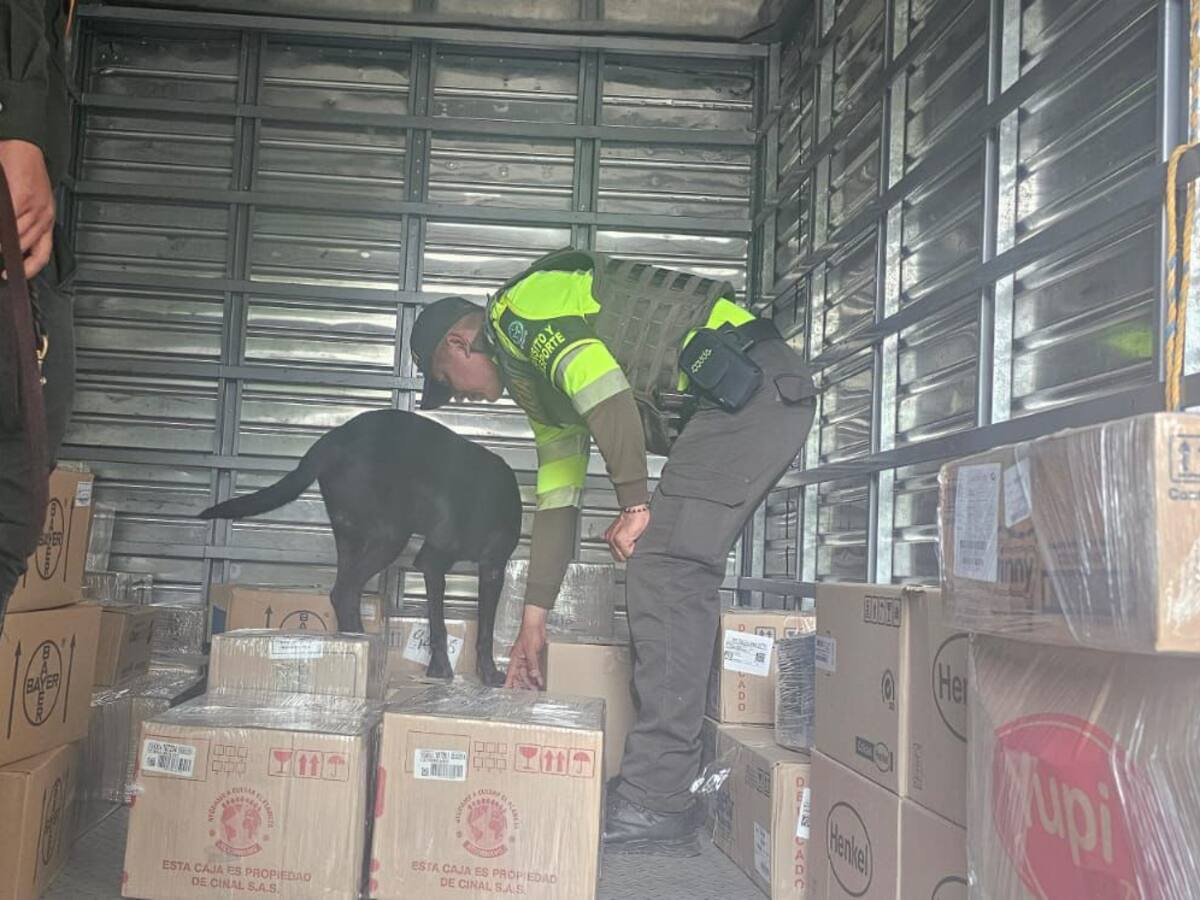 Policía incautó cargamento de marihuana en carreteras de Bolívar