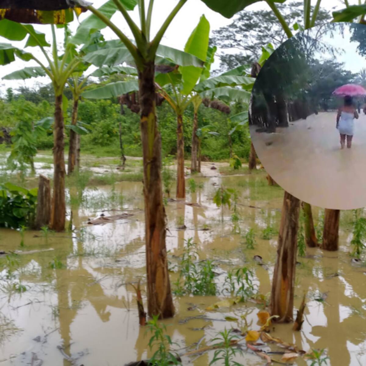 Graves inundaciones sufren habitantes de extensa parte del municipio de Arboletes en el Urabá