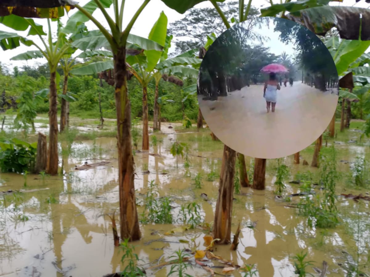 Graves inundaciones sufren habitantes de extensa parte del municipio de Arboletes en el Urabá