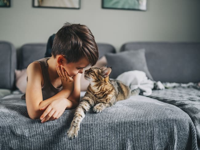 Un niño y un gato - Getty Images