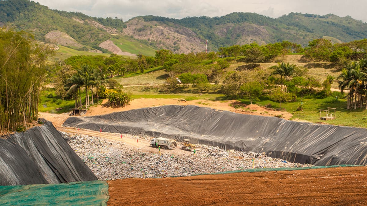 Aplican prueba piloto en el relleno sanitario para controlar proliferación de gallinazos