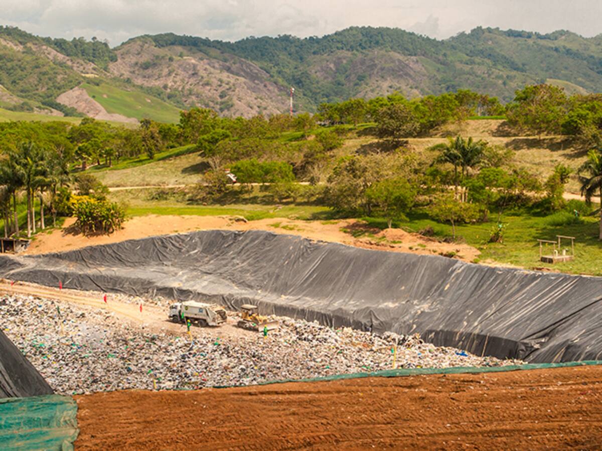 Aplican prueba piloto en el relleno sanitario para controlar proliferación de gallinazos
