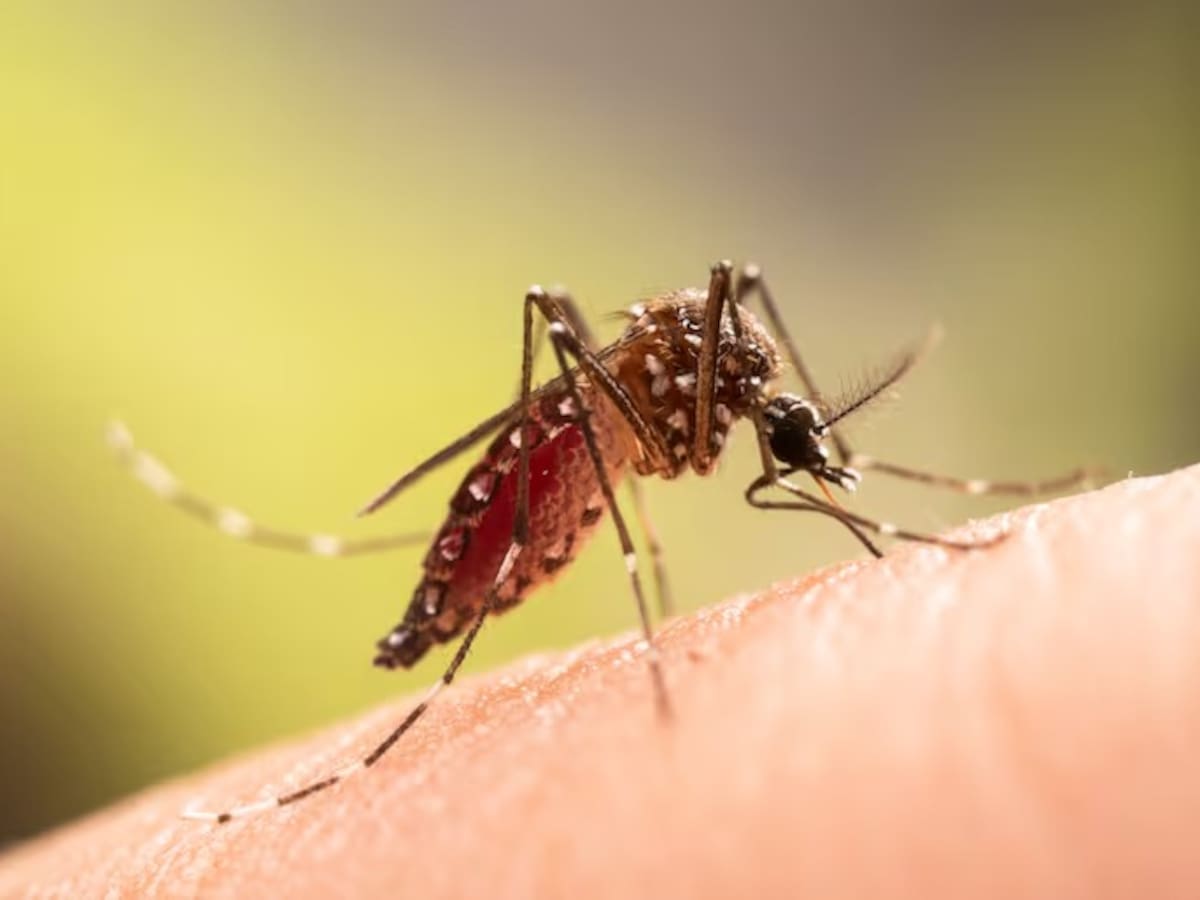 Baja vacunación y aumento de casos agravan panorama del dengue en el Huila