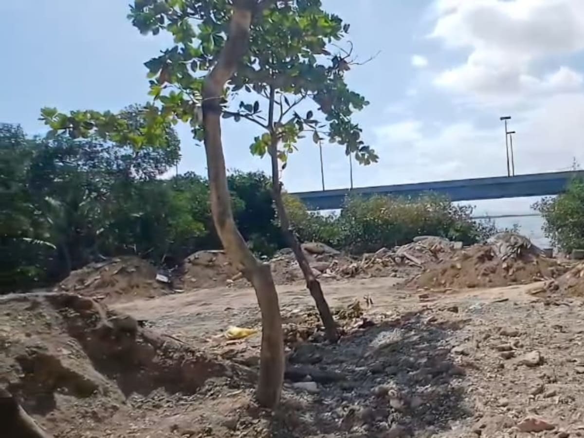 Alcaldía Local de la Virgen y Turística suspende rellenos ilegales con escombros en La Boquilla