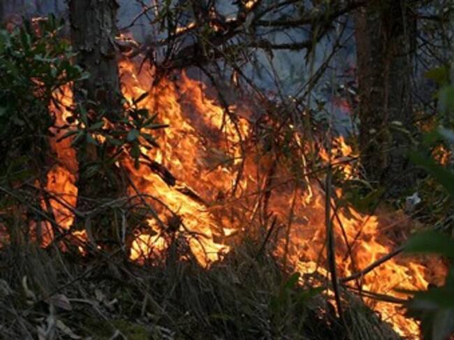 En Córdoba ya son más de 800 las hectáreas destruidas por el fuego