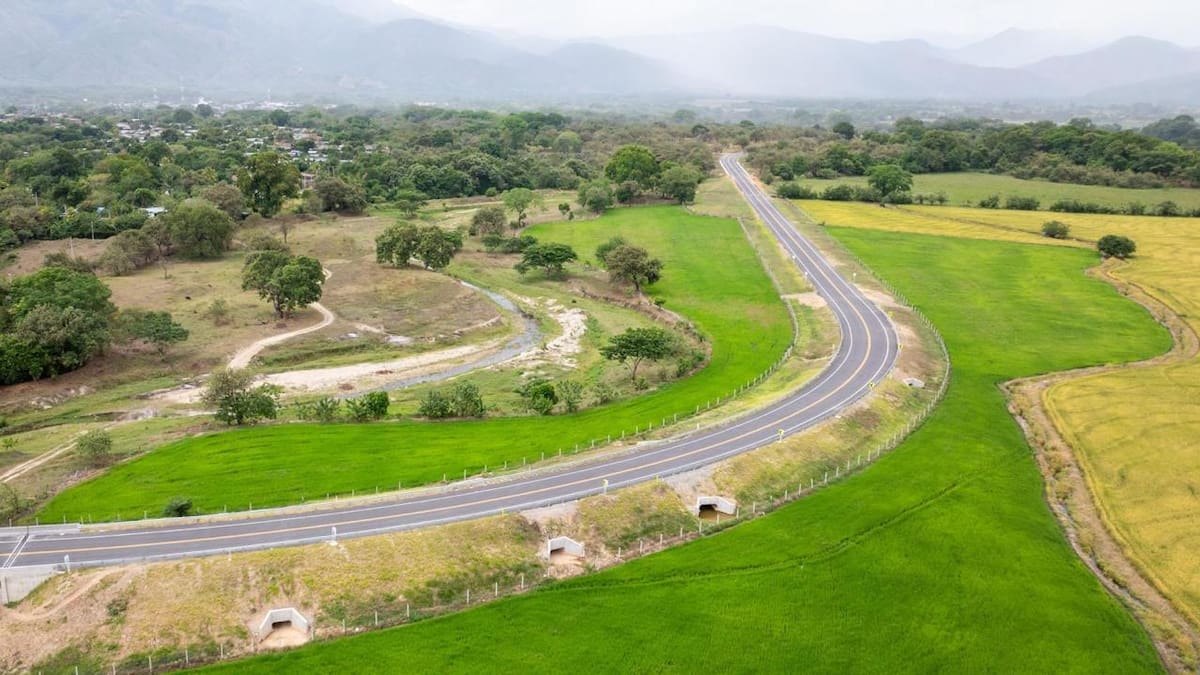 88 personas han muerto en siniestros viales este año en las carreteras del Huila