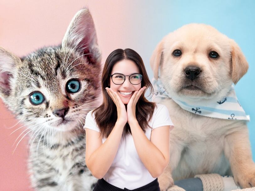 Estudio demuestra que ver animales tiernos puede mejorar el estado de ánimo