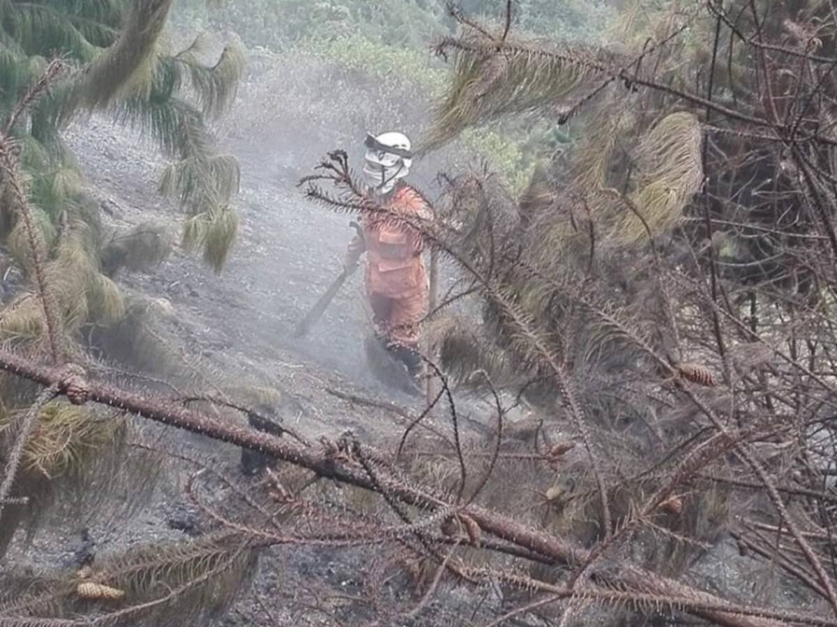 Fenómeno del niño genera primer incendio en Norte de Santander