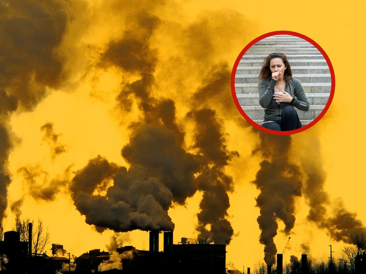 La contaminación es cada vez más mortífera, alertan los científicos