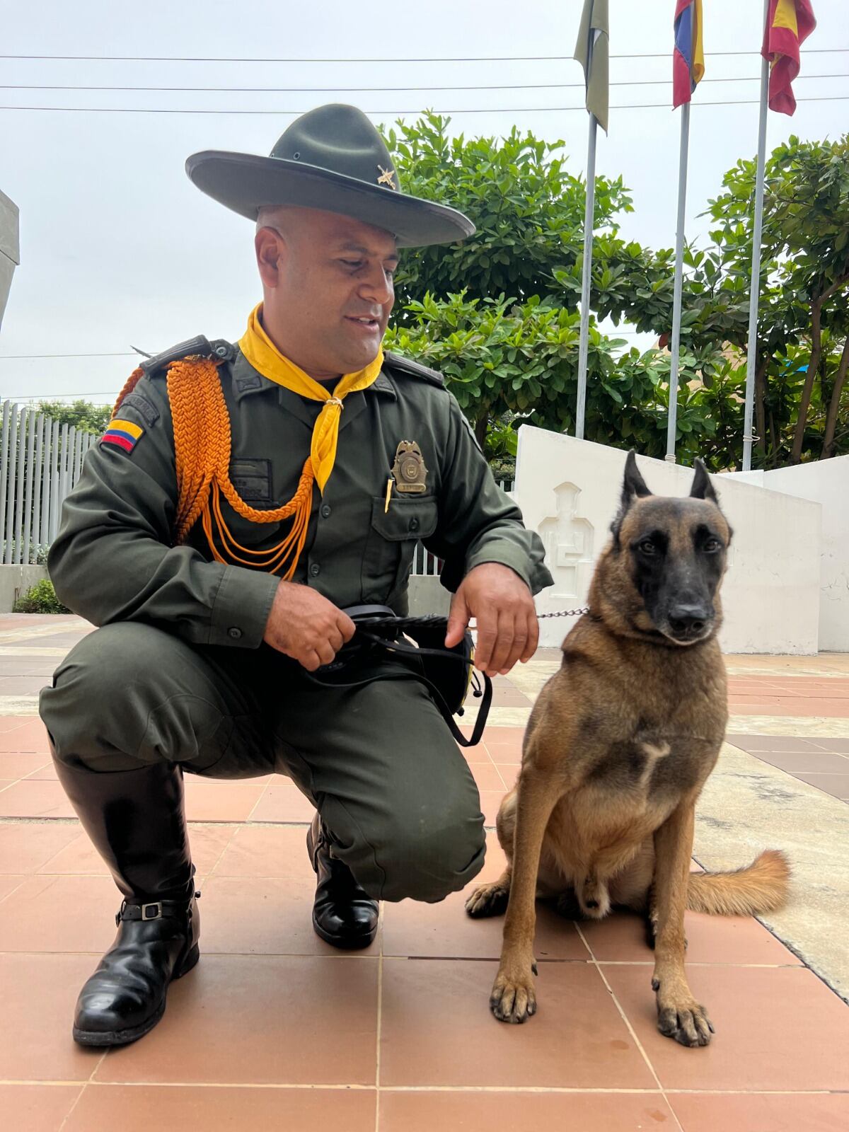 Killer, el canino que ha detectado más de 20 mil dosis de estupefacientes en Cartagena