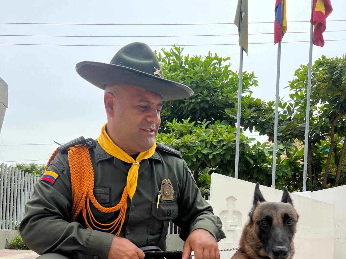 Killer, el canino que ha detectado más de 20 mil dosis de estupefacientes en Cartagena