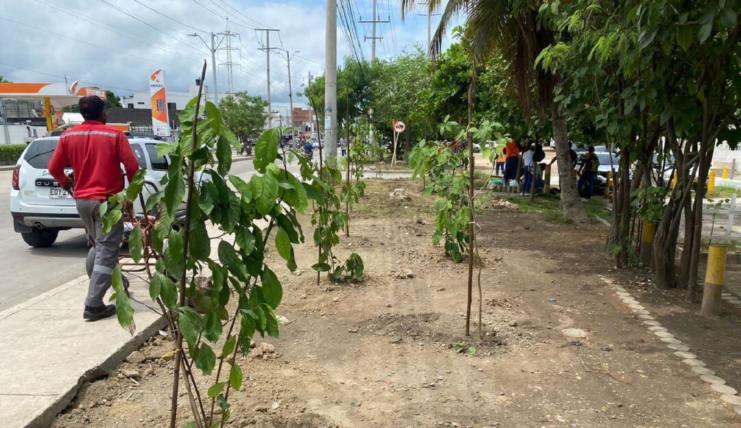Barrio Martínez Martelo